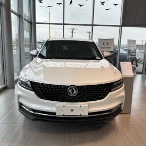 DongFeng FENGON 5